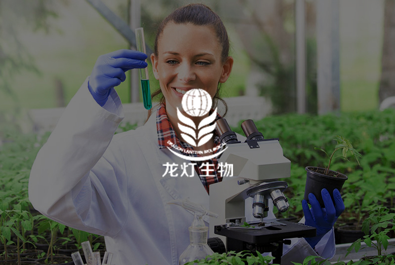龙灯生物集团